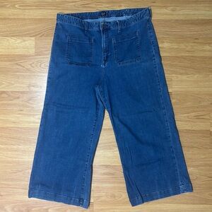 GAP Denim High Rise Cropped Wide Leg Jeans 35 Regular